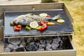 grillfolie-durandal-selection-2.jpg